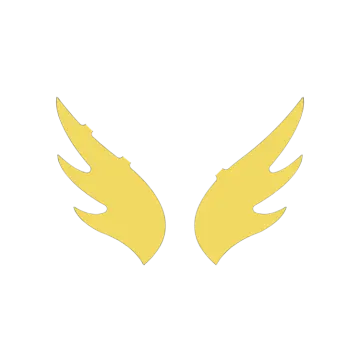 a pair of yellow wings