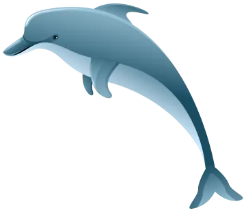 a dolphin jumping out of the water