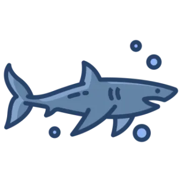 a shark swimming in the ocean