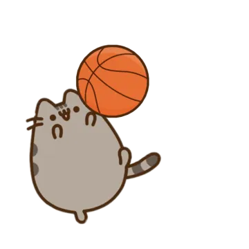 a cat with a basketball ball on its head