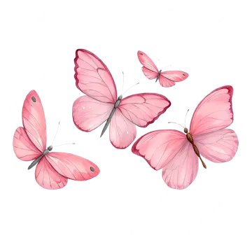 three pink butterflies on a white background