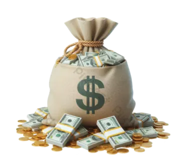 a bag full of money