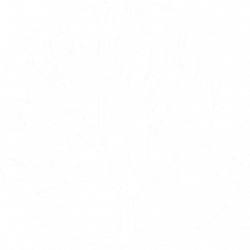 a black and white drawing of a flower