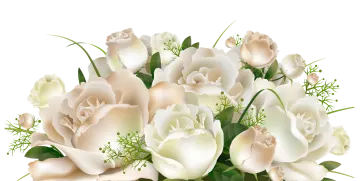 a bouquet of white flowers with green leaves