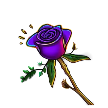 a drawing of a rose on a white background
