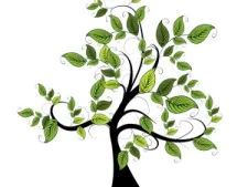 a tree with green leaves