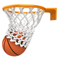 a basketball hoop with a ball in it