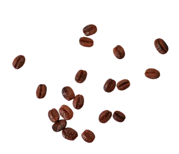 coffee beans on a white background