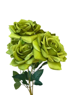 a bunch of green roses on a white background