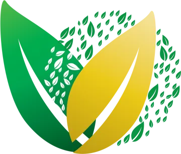 a green leaf with leaves around it