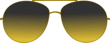 a pair of sunglasses