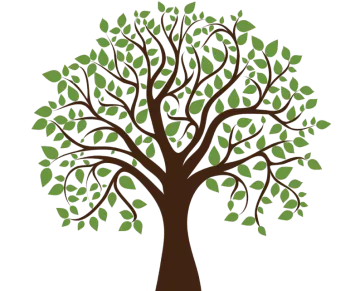a tree with green leaves on it