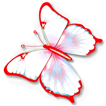 a white butterfly with red and blue wings