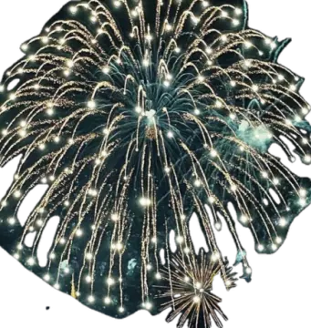 a large black firework with white lights