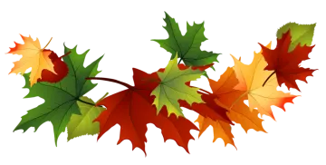 a bunch of autumn leaves