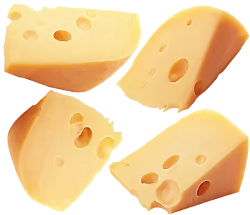 four pieces of cheese on a white background
