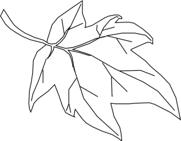 a black and white drawing of a leaf