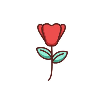 a red rose on a white background