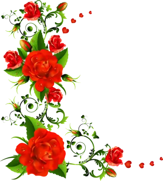 red roses and green leaves on a white background