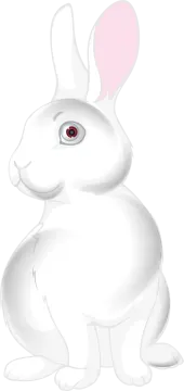 a white rabbit with pink ears
