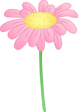 a pink flower with a yellow center