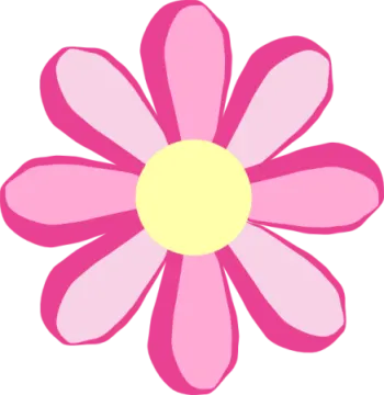 a pink flower with yellow center