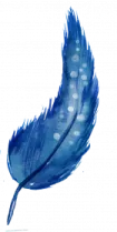 a blue feather on a white background