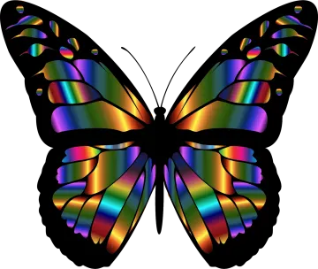 a rainbow colored butterfly
