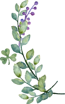 a branch with green leaves and purple flowers