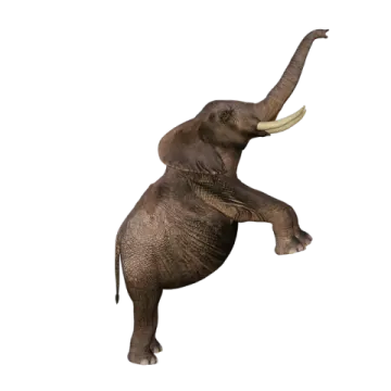 an elephant is jumping up in the air