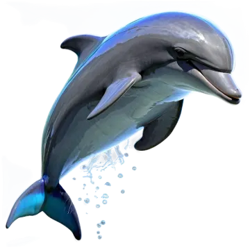 a dolphin jumping out of the water