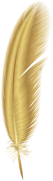 a golden feather on a white background