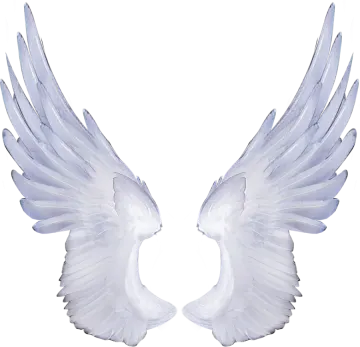 a pair of white wings on a white background