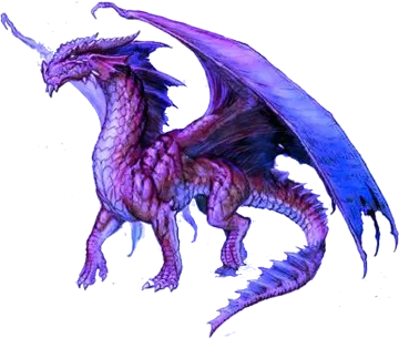 a drawing of a dragon on a white background
