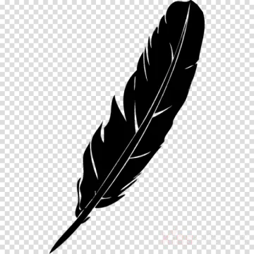 a black feather on a transparent background