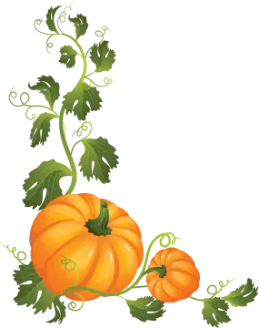 a bunch of pumpkins with leaves and vines