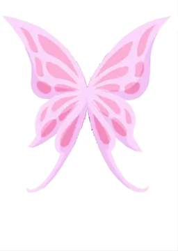 a pink butterfly on white background