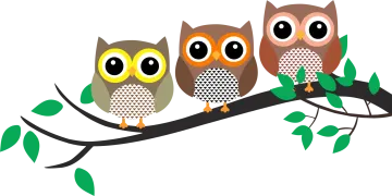 three owls sitting on a branch
