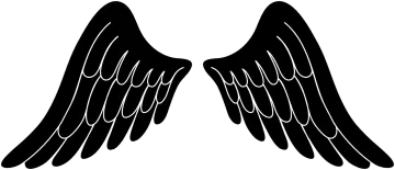 a pair of black angel wings
