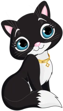 a black and white cat with blue eyes