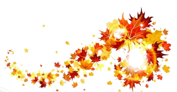 an image of a bunch of autumn leaves