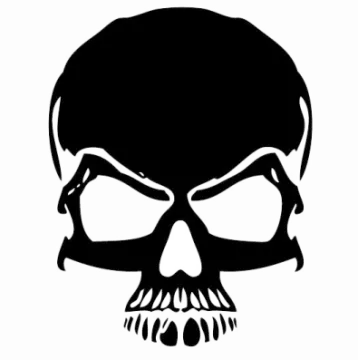 a black and white image of a skull