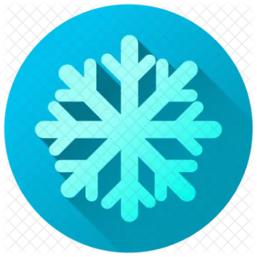 a snowfl icon in a blue circle