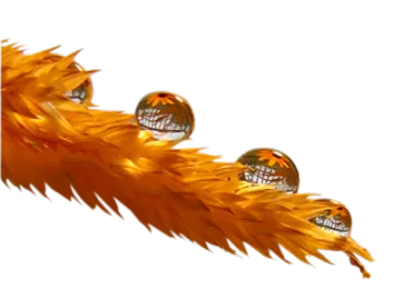 an orange feather with three spheres on it