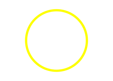 a black oval frame on a white background