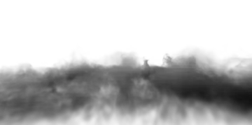 a black and white photo of trees