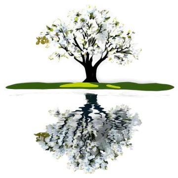 a tree with white flowers reflected in the water
