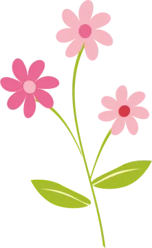 a pink flower on a white background