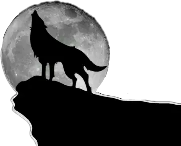 a wolf standing on top of a hill in front of the moon