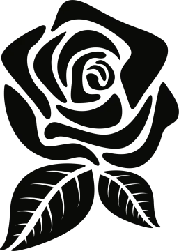 a black and white rose with leaves